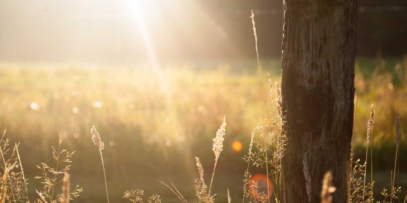 《家庭教育促进法》时代：善用学习资源与教育技术，构建科学家庭教育生态