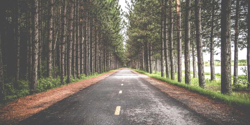 教育元宇宙重塑未来学习：虚拟实验室与沉浸式场景如何革新课程资料与教学技巧