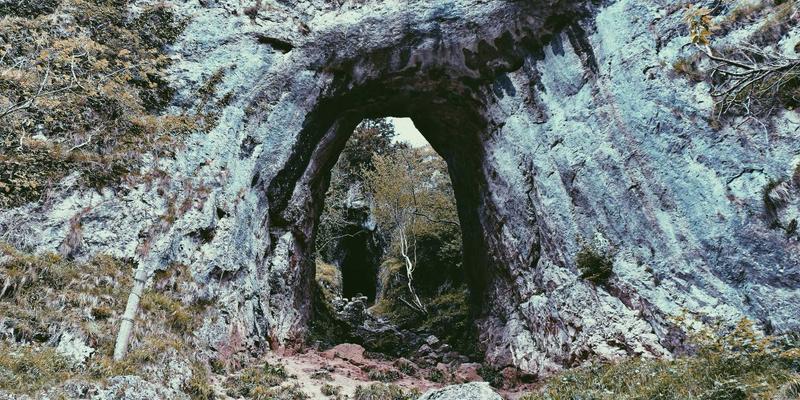 教育大数据驱动的学生综合素质评价体系构建：教学技巧与课程资料的新视角