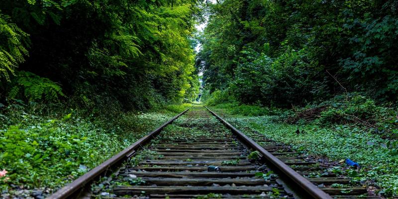 教育技术赋能早期阅读：从绘本选择到亲子共读的在线教育全指南