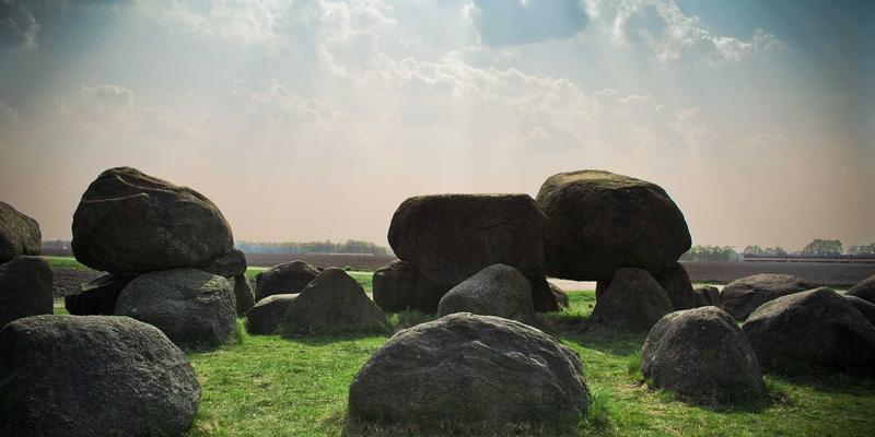 教育神经科学前沿：如何利用脑科学研究优化课程资料与在线教育
