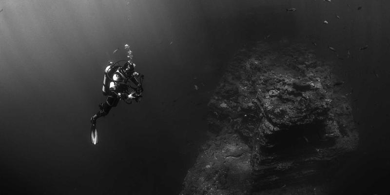 教育资讯21：在线教育、课程资料与教育技术的融合新趋势