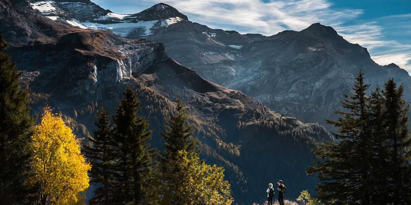 教育资讯51:课程资料与在线教育的融合创新