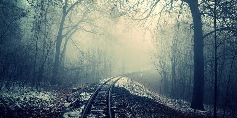 教育资讯58:解锁学习资源新维度,在线教育如何重塑知识获取方式