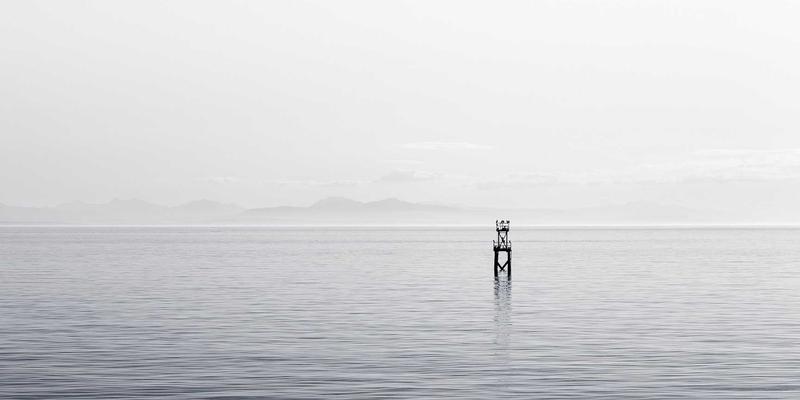 教育资讯 | 社会情感学习(SEL)本土化实践：如何利用课程资料与学习资源培养学生的抗逆力与协作能力