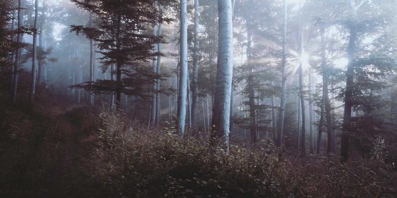教育资讯、课程资料与教学技巧：如何高效整合三大资源提升教学成效