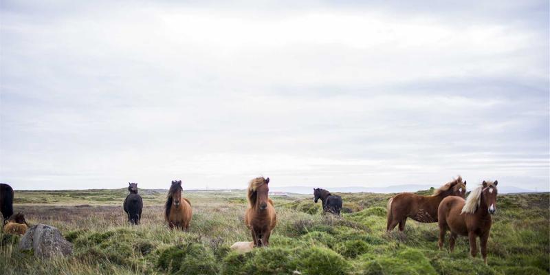 教育资讯高效应用指南:整合学习资源、教学技巧与教育技术的三大维度