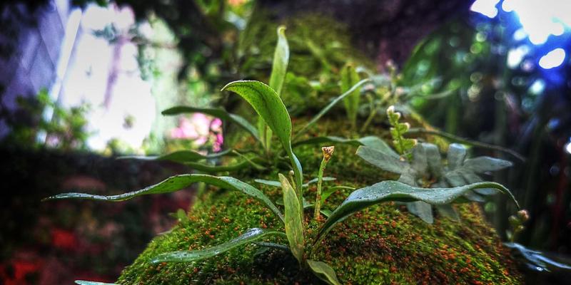 解锁高效学习：2025年必备的教育资讯与课程资料整合指南